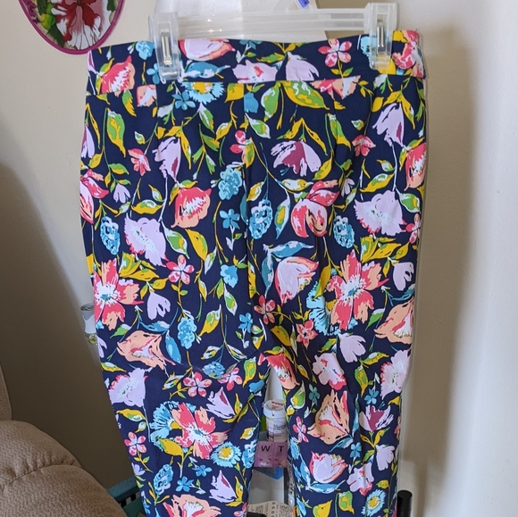 Capris - Picture 1 of 5